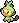 Grookey